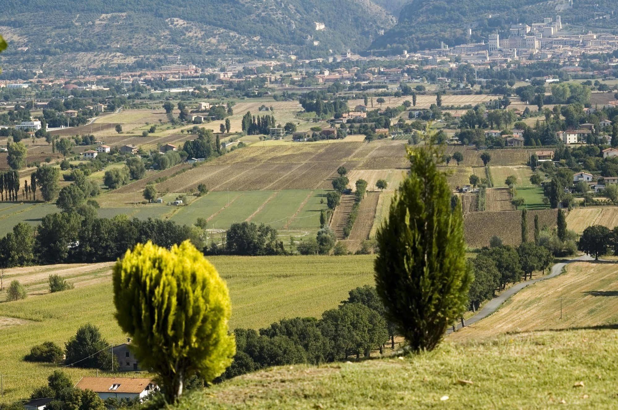Azienda Agraria Montelujano Gubbio Exteriér fotografie